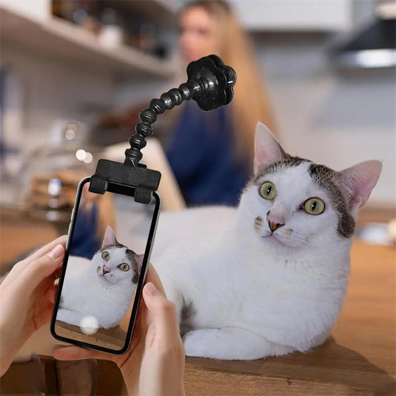 Pet Photography Tool for Cats and Dogs - Viewing Lens Teddy Camera Toy - Mobile Phone Camera Holder