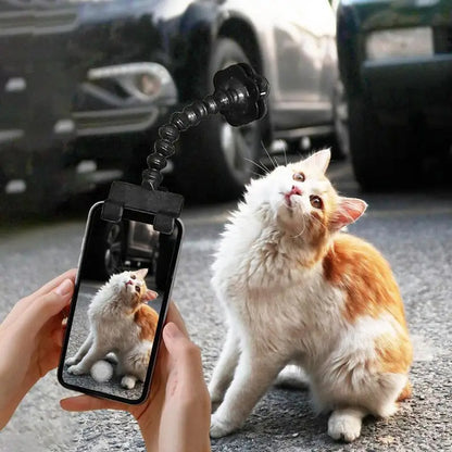 Pet Photography Tool for Cats and Dogs - Viewing Lens Teddy Camera Toy - Mobile Phone Camera Holder