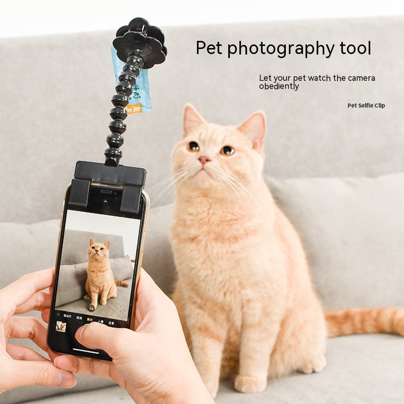 Pet Photography Tool for Cats and Dogs - Viewing Lens Teddy Camera Toy - Mobile Phone Camera Holder