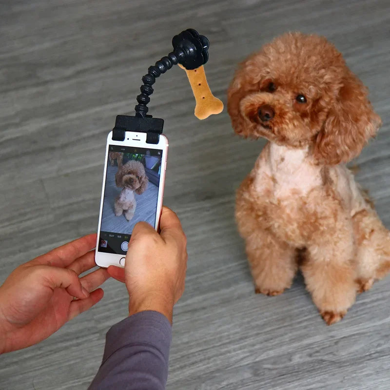 Pet Photography Tool for Cats and Dogs - Viewing Lens Teddy Camera Toy - Mobile Phone Camera Holder